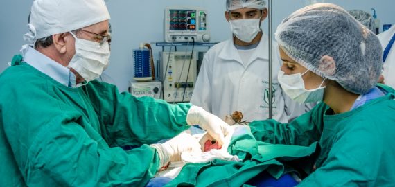 Hospital Veterinário da Ufersa conquista 20 vagas para Residência Médica